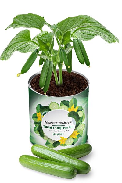 Konserve Bahcem Cilek Salatalik Domates 3 Adet Sebze Yetistirme Kiti Fide Yetistirme Sebze Tohum Ve Torf Seti Fiyati Yorumlari Trendyol