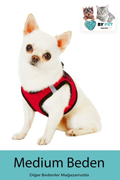 bypet kacis onleyici kedi gezdirme tasmasi reflektorlu kedi kopek gogus tasmasi siyah medium beden fiyati yorumlari trendyol