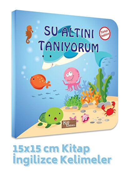 kids babies renkleri ogreniyorum turkce ingilizce kitap fiyati yorumlari trendyol