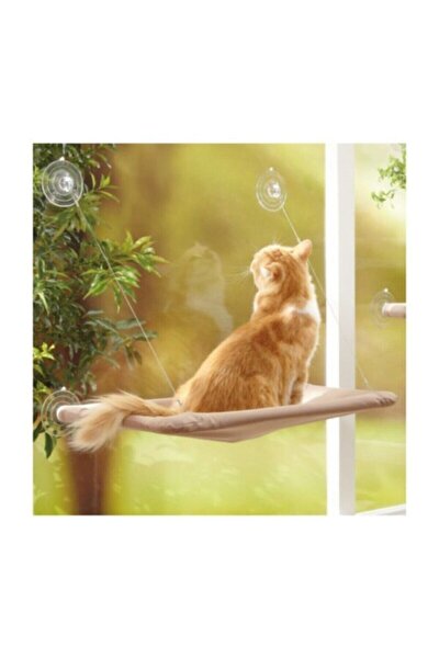 pet zoom petzoom kedi pencere yatagi fiyati yorumlari trendyol