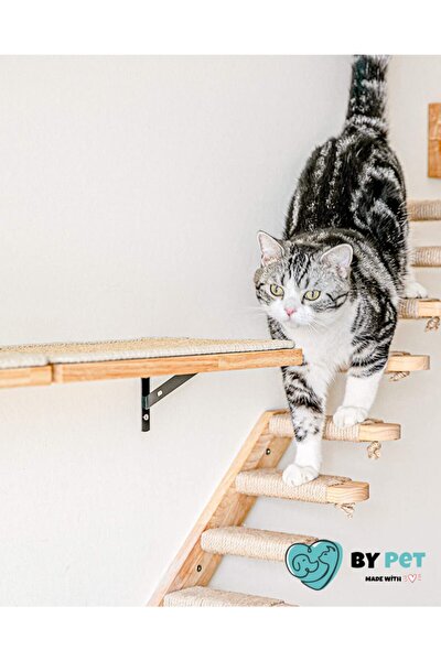 bypet duvara monte edilen kedi tirmalama 3 lu fiyati yorumlari trendyol bypet duvara monte edilen kedi tirmalama 3 lu fiyati yorumlari trendyol