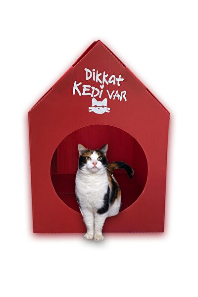 kedi evi ucretsiz evidea ideas rejoesh