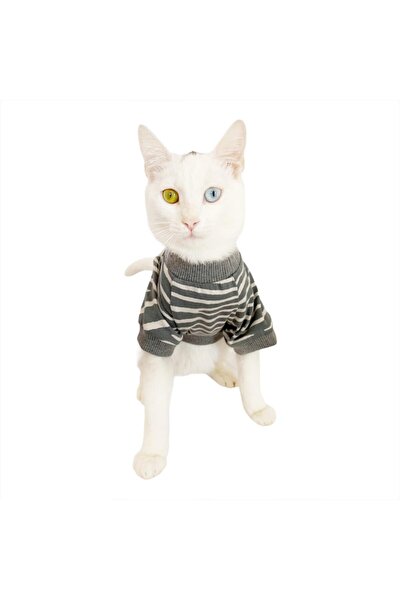 Kemique Yellow Bunny Green Kedi Tulumu Kedi Kiyafeti Fiyati Yorumlari Trendyol