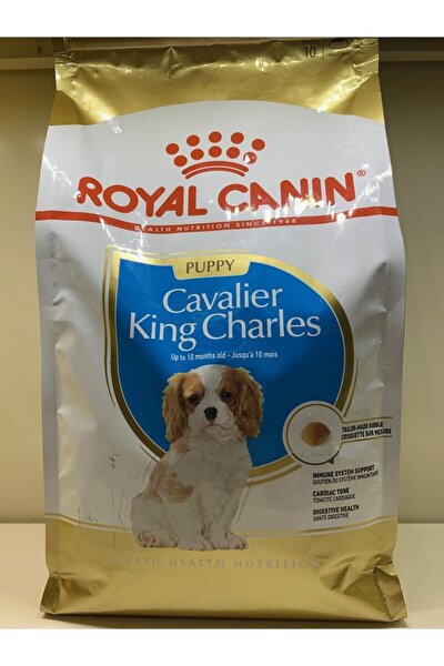Royal Canin Cavalier King Charles 27 Yetiskin Kopek Mamasi 3 Kg Fiyati Yorumlari Trendyol