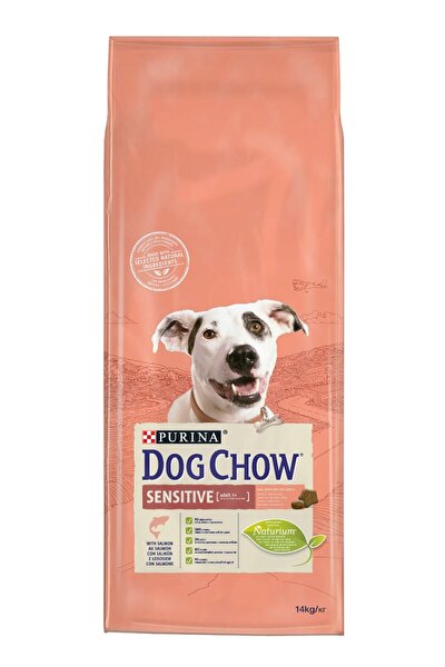 Dr Sacchi Premium Sensitive Salmon Yetiskin Kopek Mamasi 15 Kg Trendyol