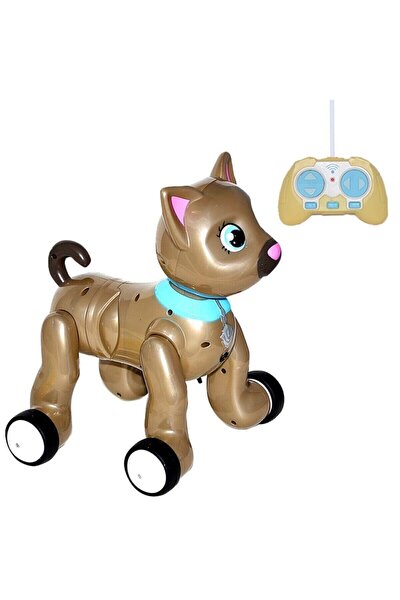 canem uzaktan kumandali robot kedi fiyati yorumlari trendyol
