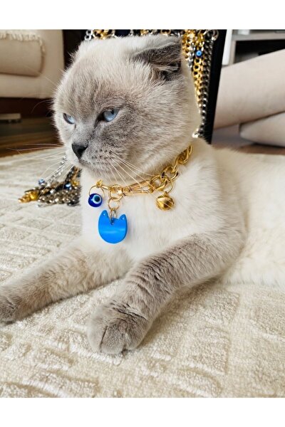 20cm Kedi Kolyesi 1. Sınıf Paslanmaz Alüminyum Gold Zincir - Mavi Künye