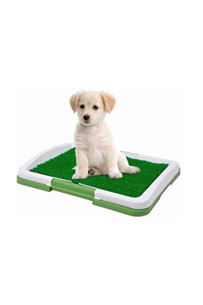 pet zoom pet park yavru kopek tuvalet egitim seti fiyati yorumlari trendyol