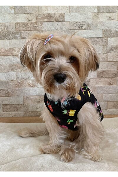 Dogi Dog Candy Girls Kedi Kopek Atleti 1kg 10 Kg Arasi Kedi Kopekler Icin Fiyati Yorumlari Trendyol