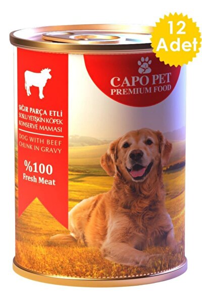 retriever mini chunk