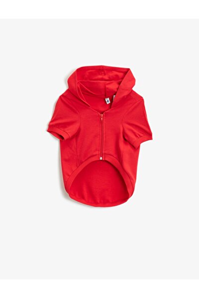 Koton Gri Kapusonlu Kopek Sweatshirt 0kal18329ik Fiyati Yorumlari Trendyol