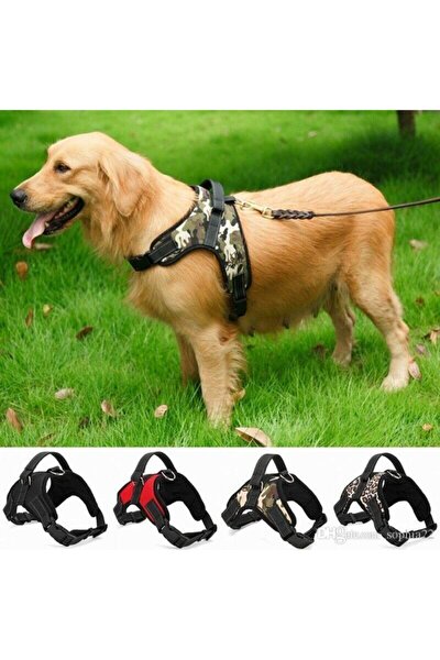 Bypet Kopek Gogus Tasmasi Buyuk Irk Kopek Tasmasi Dog Police K9 Tasma Fiyati Yorumlari Trendyol