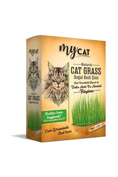 My Cat Mycat Aktif Karbonlu Topaklasan Bentonit Kedi Kumu 10lt Ince Taneli Fiyati Yorumlari Trendyol