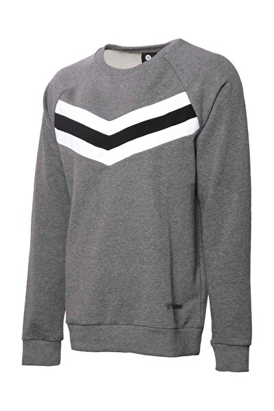Sweatshirt - Gray - Regular fit