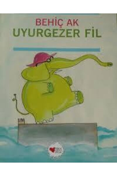 Can Cocuk Yayinlari Ruzgarin Uzerindeki Sehir Behic Ak Trendyol