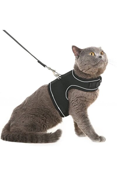 Bypet Yeni Nesil Nefes Alabilen Kedi Gogus Tasmasi Seti Fiyati Yorumlari Trendyol
