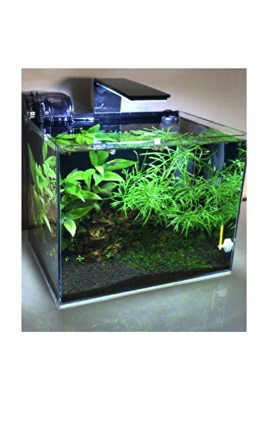 wolfmar nano led akvaryum aydinlatma fiyati yorumlari trendyol
