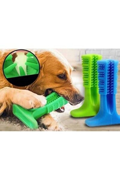 Küyük Boy Köpek Diş Fırçası Diş Kaşıma Oyuncağı Kaşıyıcı Oyuncak