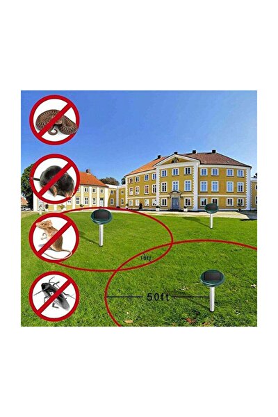 asnorm kostebek yilan akrep kovucu fare