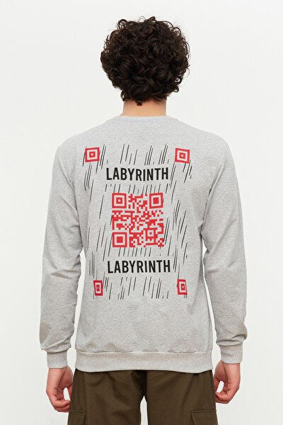 Sweatshirt - Grau - Regular Fit