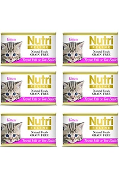 nutri feline kitten