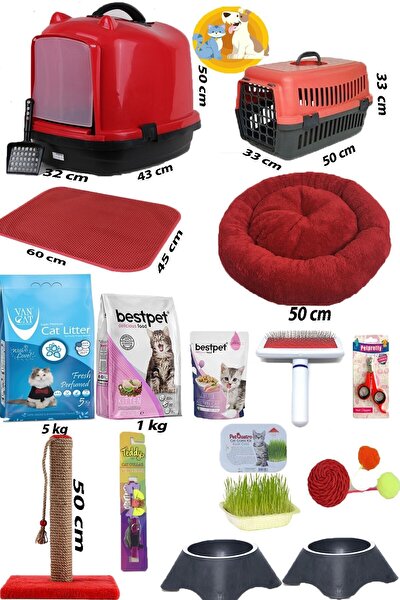 pet style kedi baslangic 20 li paket fiyati yorumlari trendyol