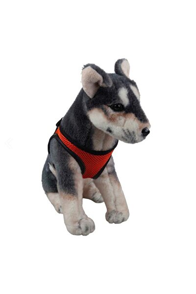 Divo Kopek Tasmasi Yesil Renk Fiyati Yorumlari Trendyol