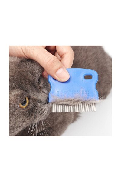 terminator kedi kopek bit ve pire taragi fiyati yorumlari trendyol