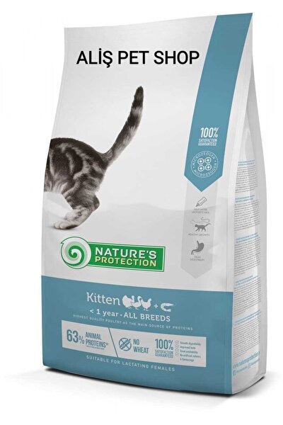 Nature protection kitten new arrivals