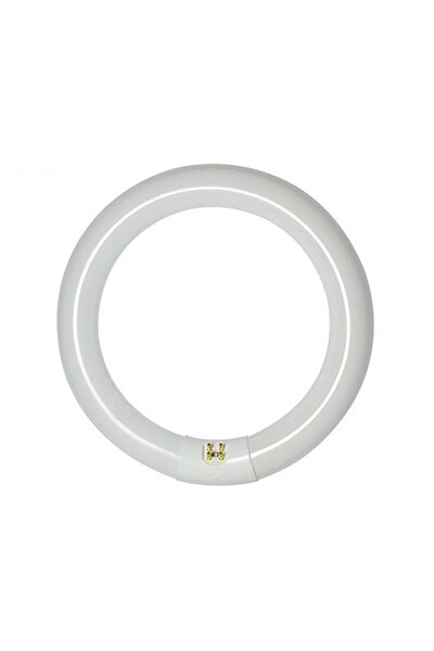 avion led simit florasan ampul 32 w fiyati yorumlari trendyol