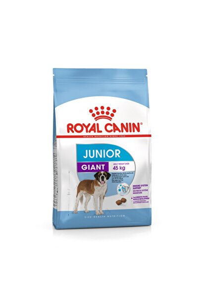 Royal Canin Maxi Puppy Buyuk Irk Yavru Kopek Mamasi 15 Kg Fiyati Trendyol