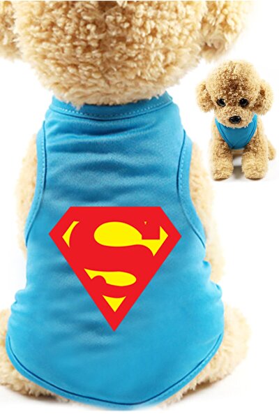 Tamam Neon Led Isikli Kedi Kopek Neon Led Isikli Kedi Kopek Kolyesi Fiyati Yorumlari Trendyol