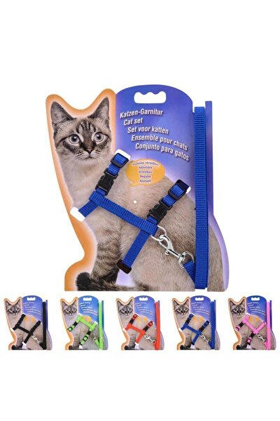 dr sacchi katzen kedi gezdirme seti gokkusagi uzatma gogus tasmasi fiyati yorumlari trendyol