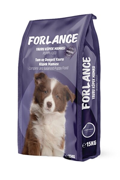mr dog dr dog puppy kuzu etli yavru kopek mamasi 15 kg fiyati yorumlari trendyol