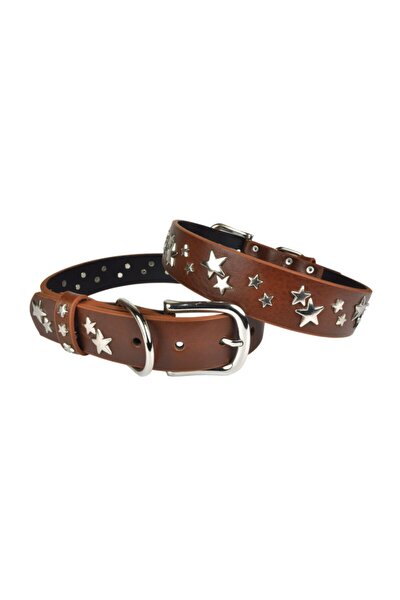 Fr Pet Kopek Tasma Gladyator Gogus Tasma Buyuk Boy Deri Orgu Gezdirme Lacivert Fiyati Yorumlari Trendyol