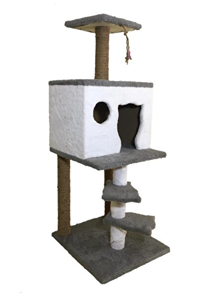 evidea kedi evi