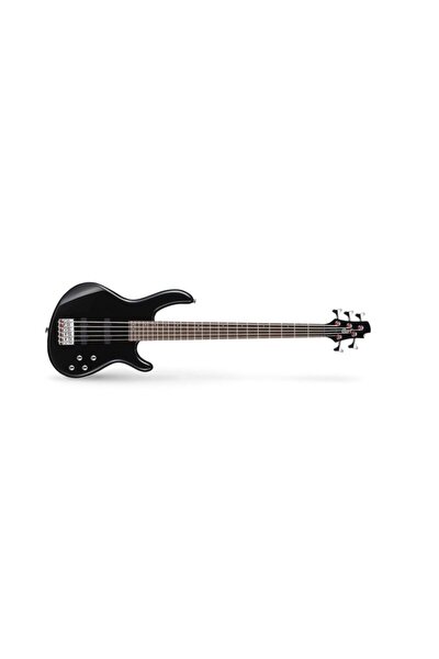 Dean bass deals 5 string