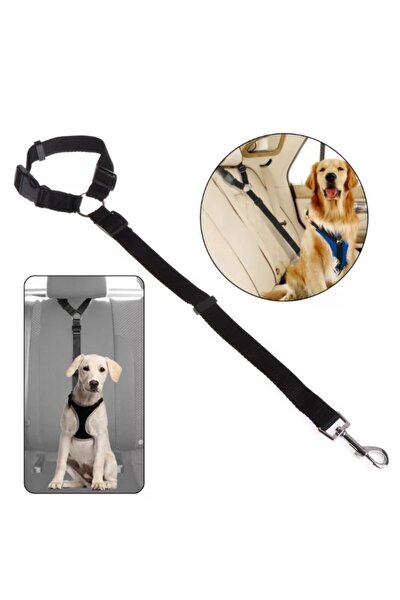 bypet kacis onleyici kedi gezdirme tasmasi reflektorlu kedi kopek gogus tasmasi siyah medium beden fiyati yorumlari trendyol