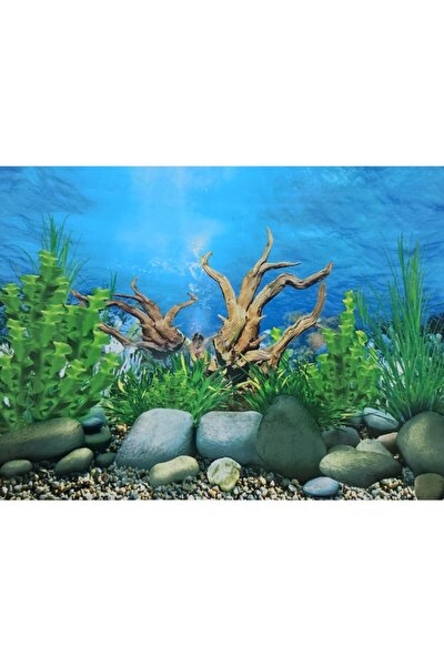 naturel color akvaryum arka fon manzara cift tarafli mercan bitki 60 cm 1 metre fiyati yorumlari trendyol