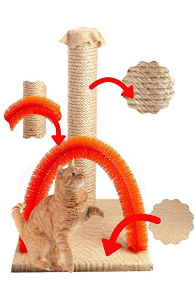 tina purrfect arch kedi tirmalamasi sirt kasima tirnak torpu tahtasi fiyati yorumlari trendyol