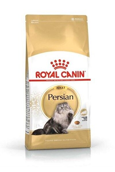 Persian on sale adult cat