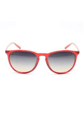 Swing Unisex Polarize Camlı Güneş Gözlüğü Erika Modeli 230 C383 4171