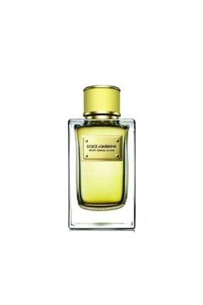 Dolce & Gabbana Velvet Mimosa Bloom Edp 150 ml Kadın Parfüm 737052968186